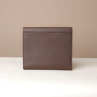 Carry-Master Portfolio - Brown