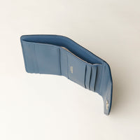 Anahí Wallet